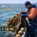 ChatGPT-Image-2026년-2월-14일-오후-09_57_07