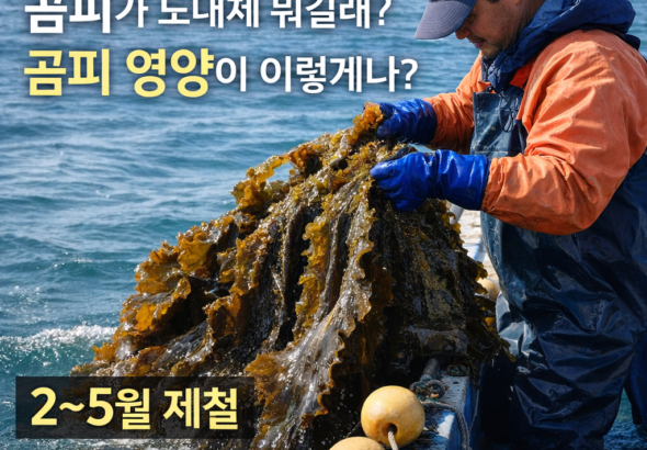 ChatGPT-Image-2026년-2월-14일-오후-09_57_07